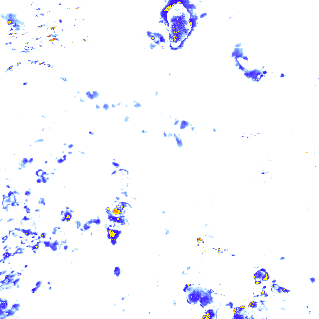rainLayer