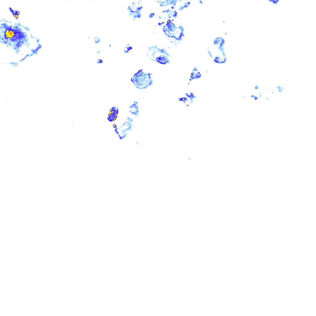 rainLayer