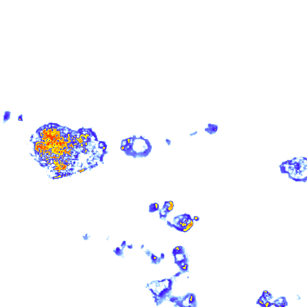 Image Layer