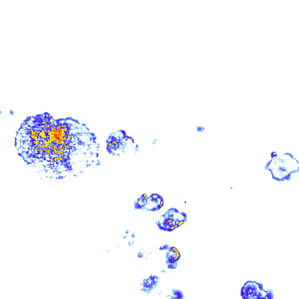 rainLayer