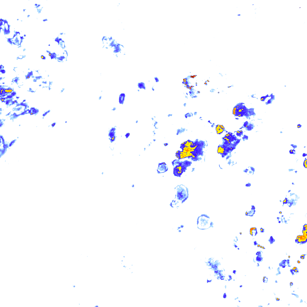 rainLayer