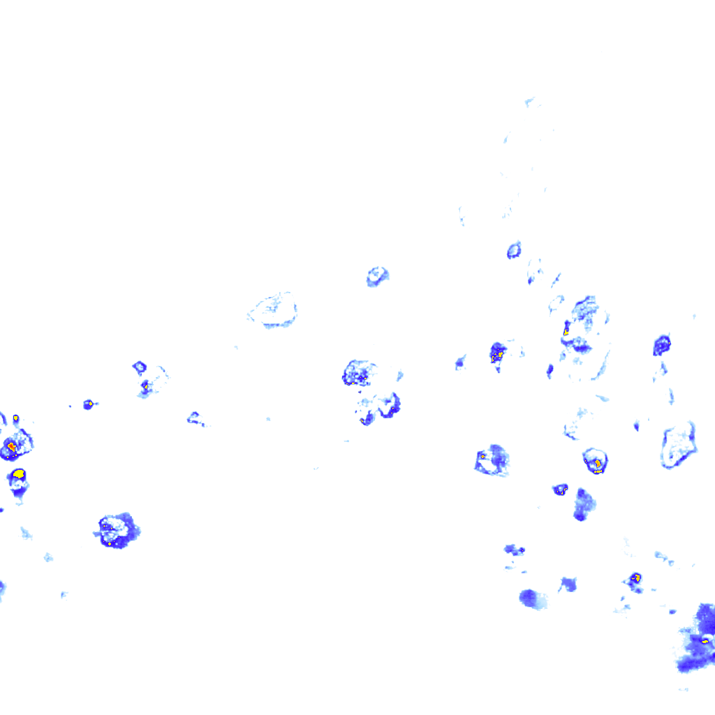 rainLayer
