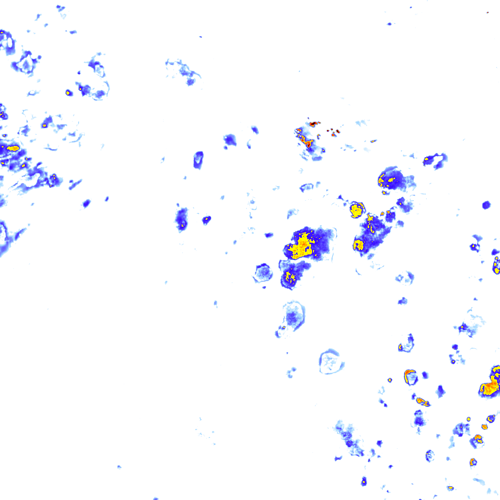 rainLayer