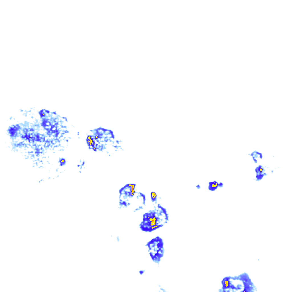 rainLayer