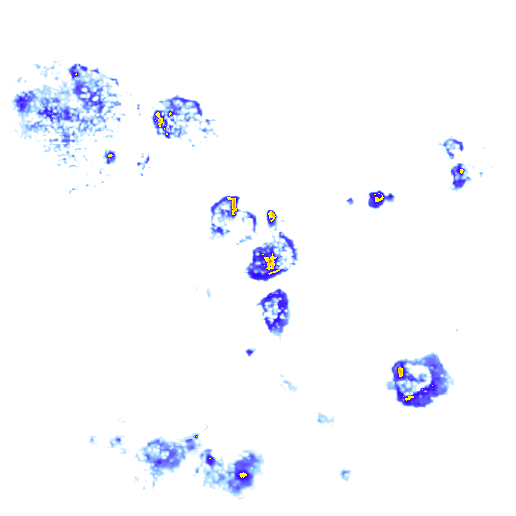 Image Layer