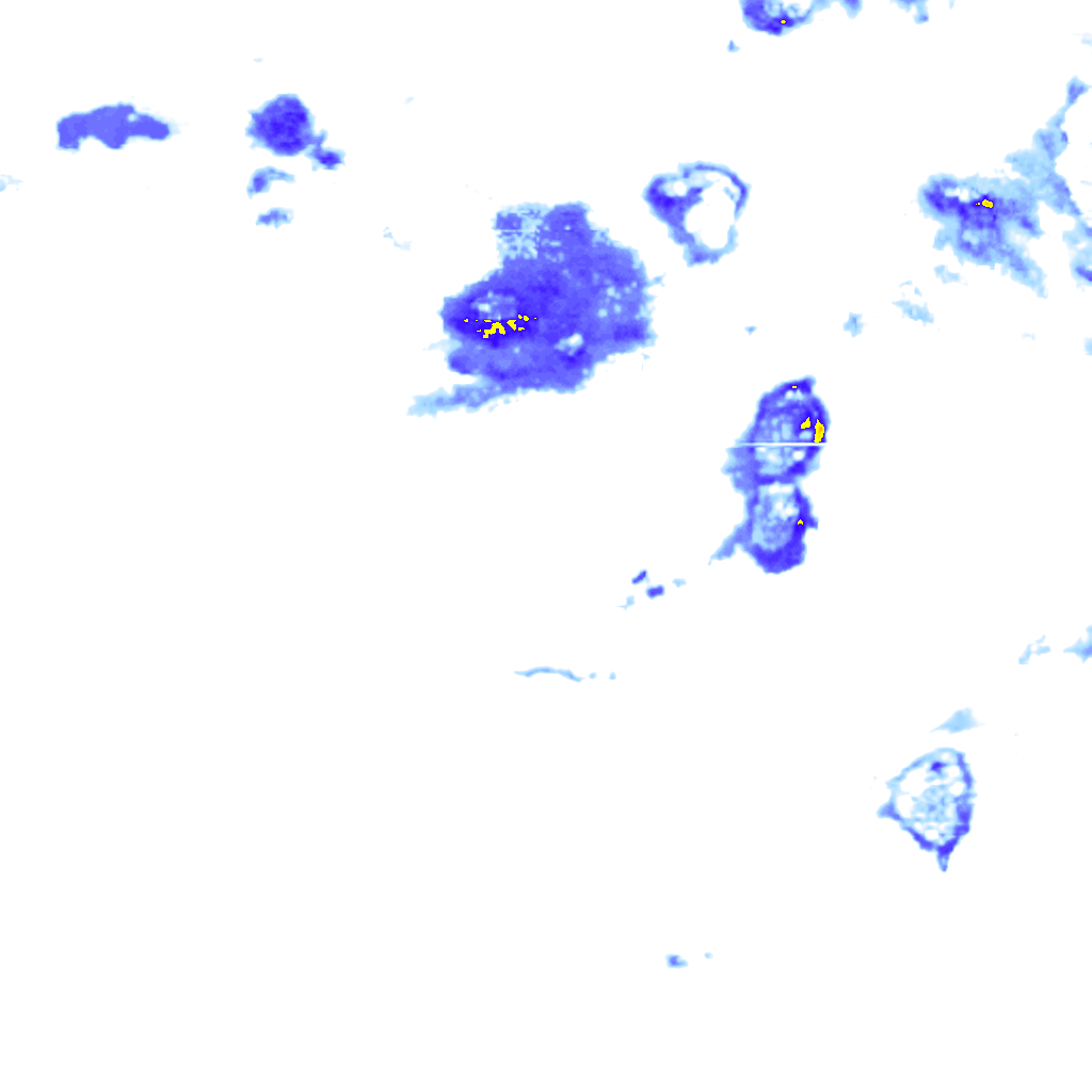 rainLayer