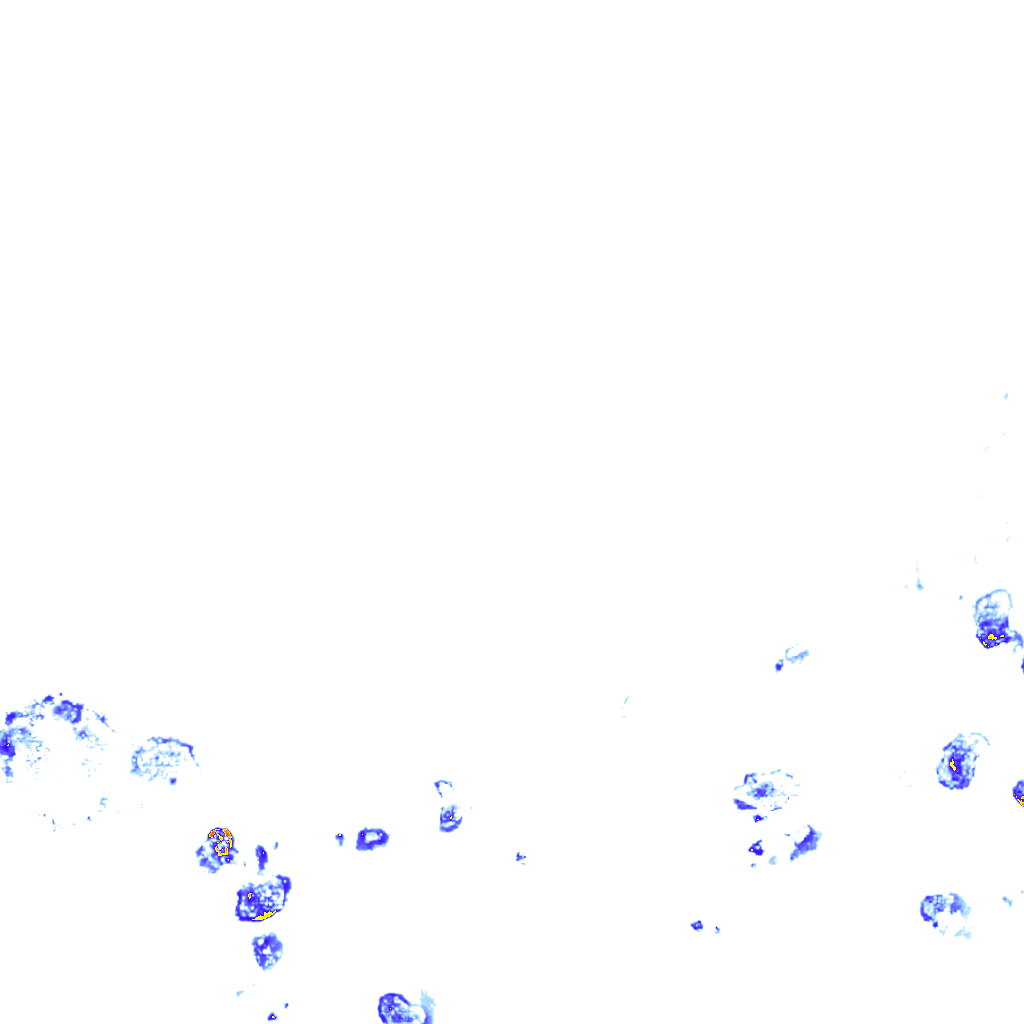 rainLayer