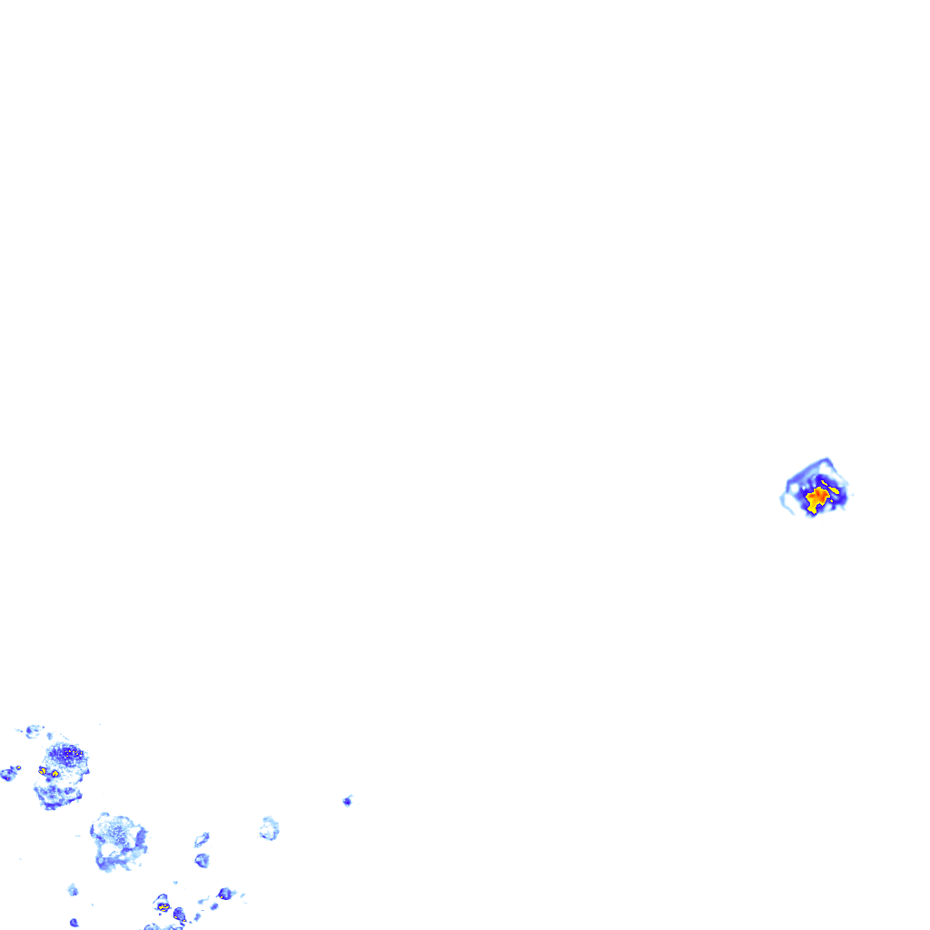 rainLayer