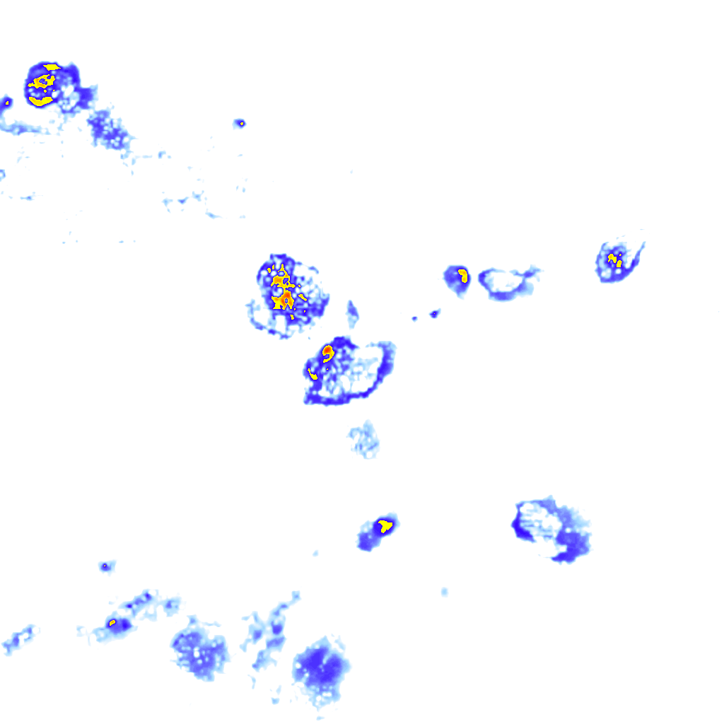 rainLayer