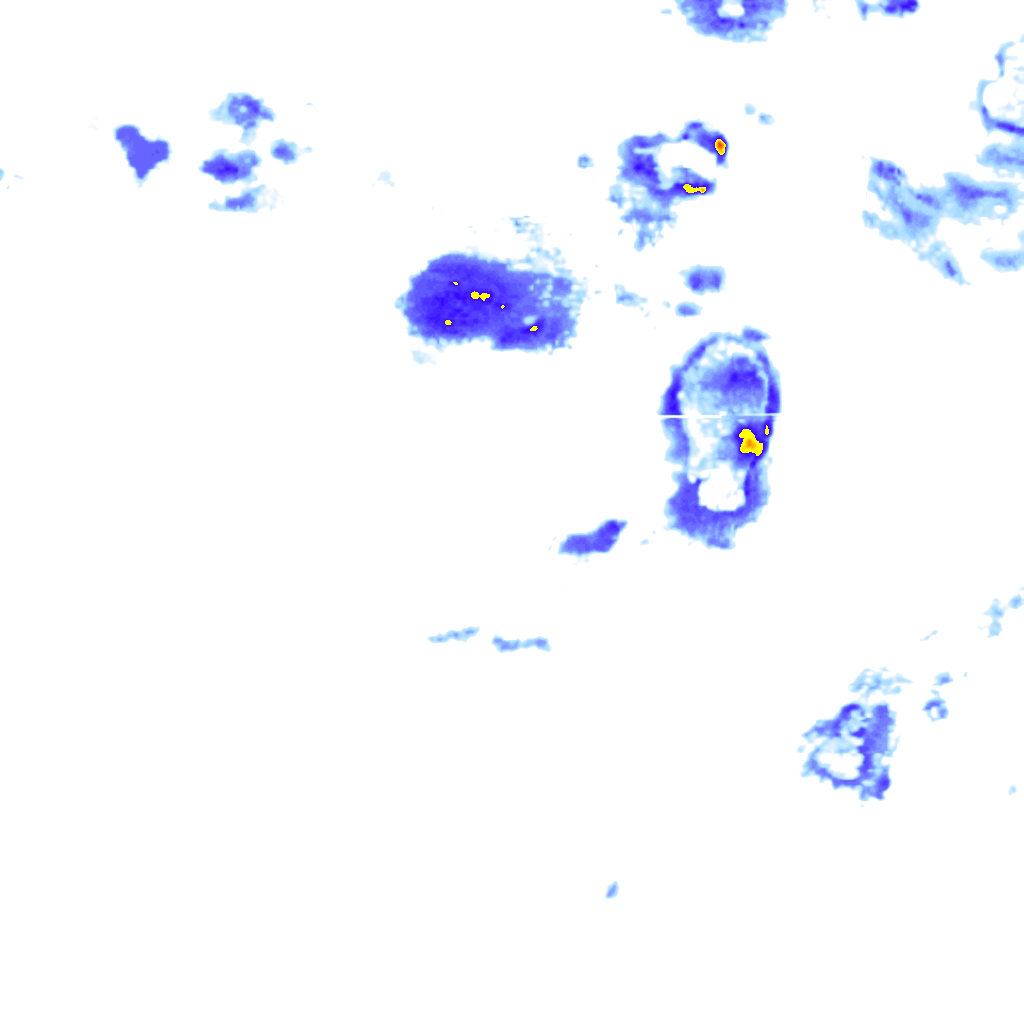 rainLayer