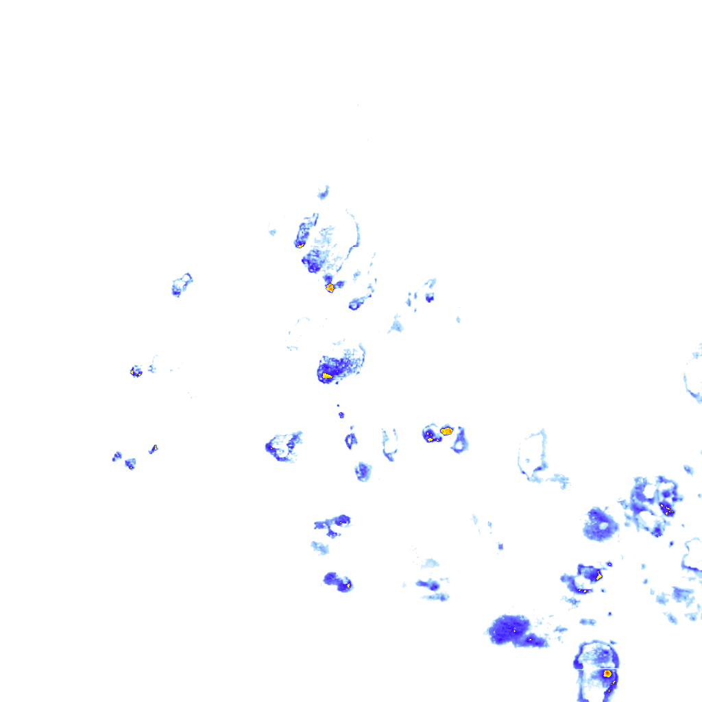 rainLayer