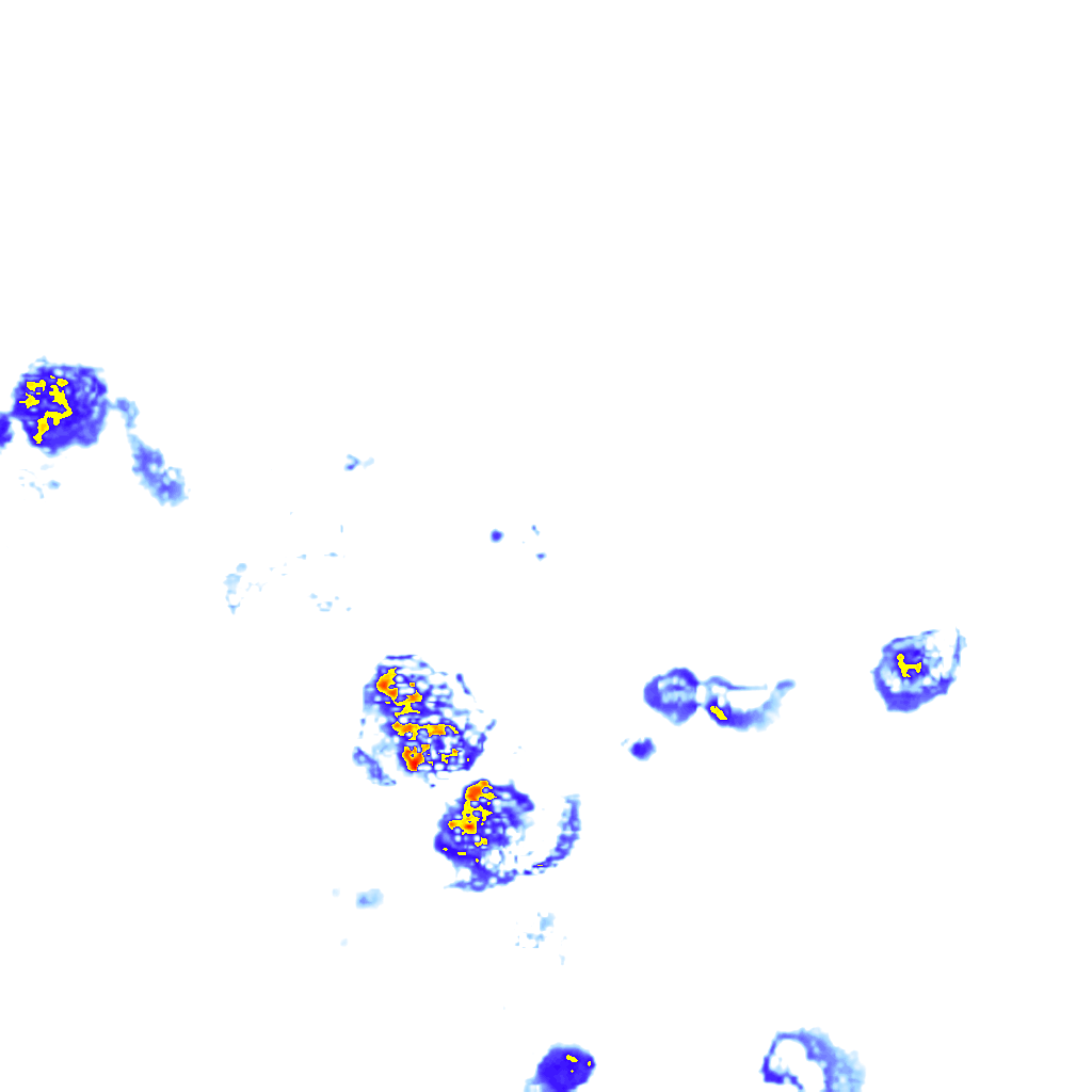 rainLayer