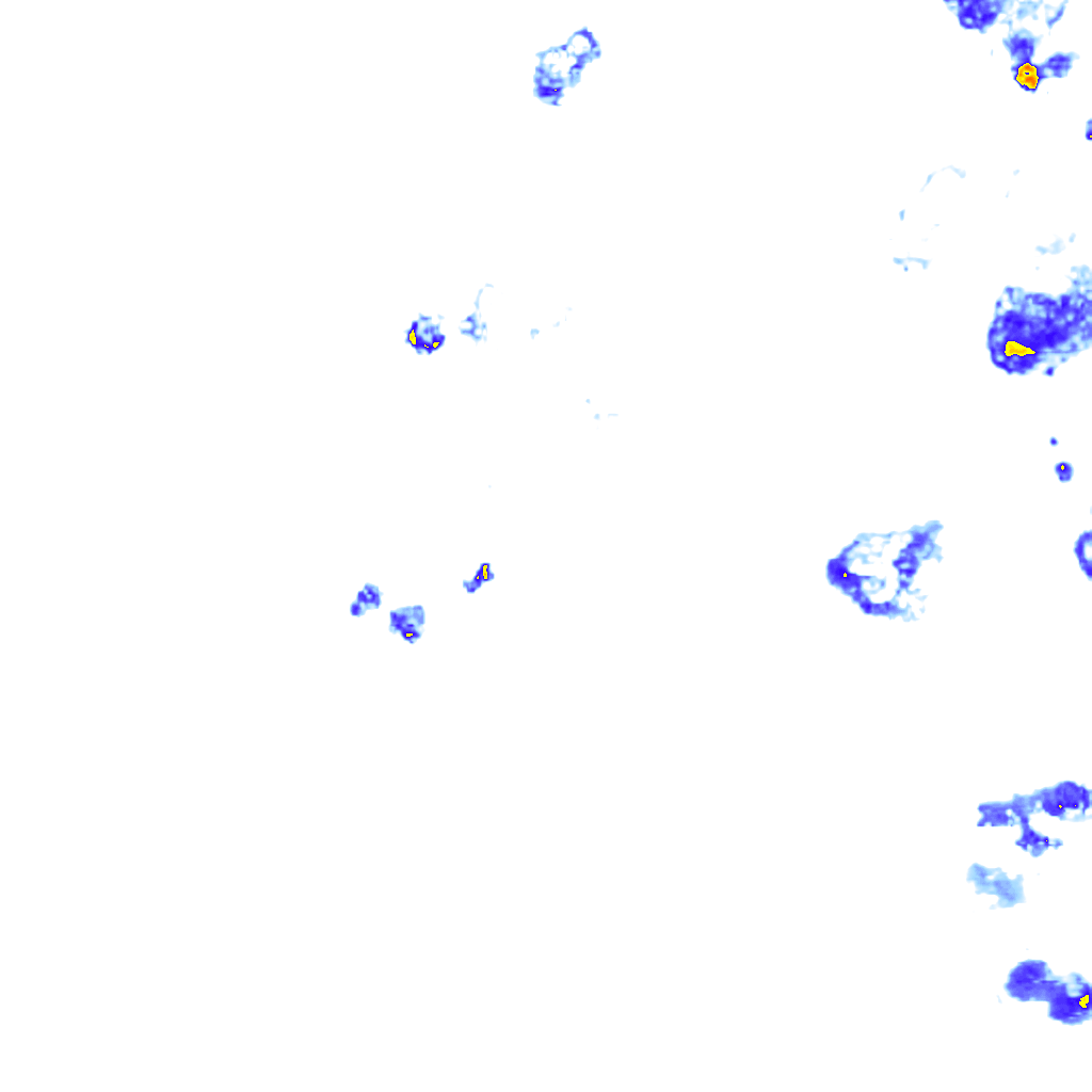 rainLayer