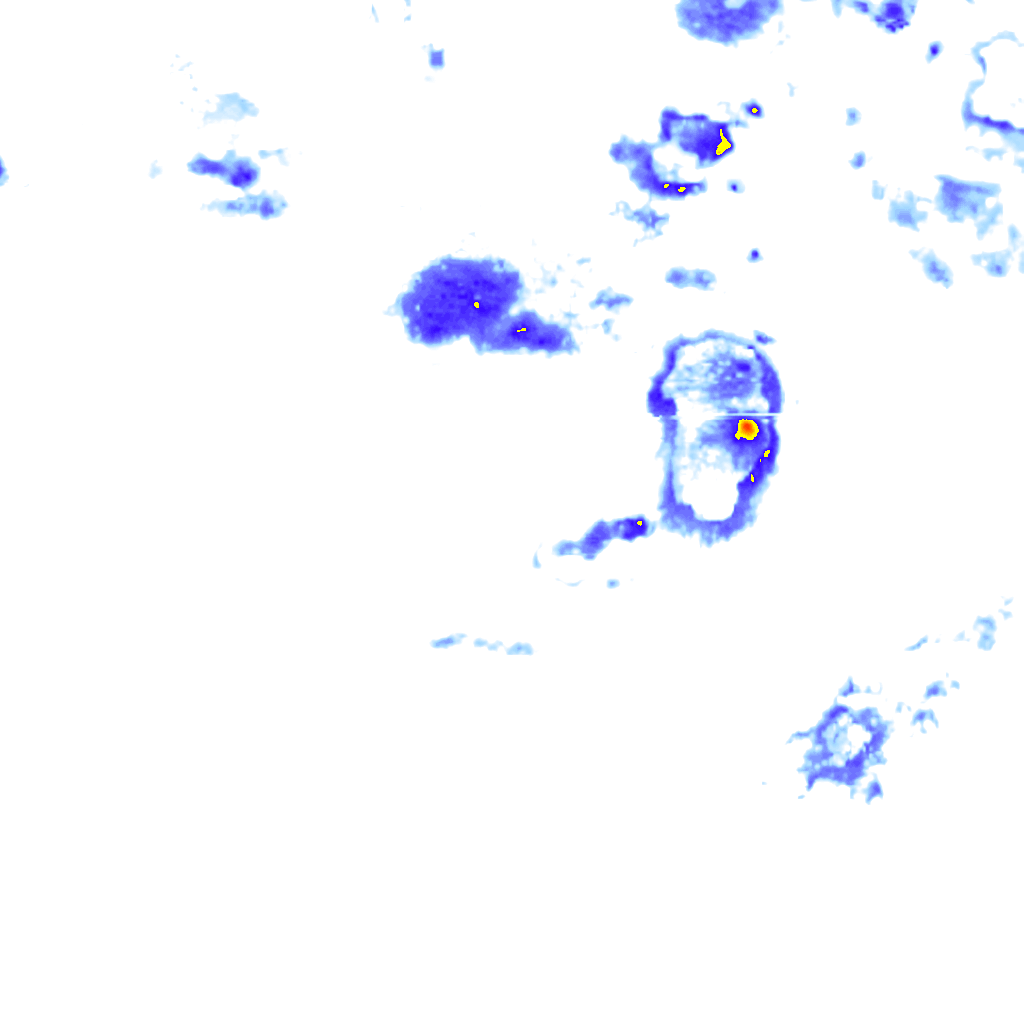 Image Layer