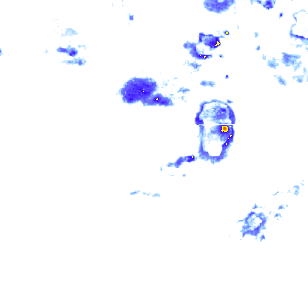 Image Layer