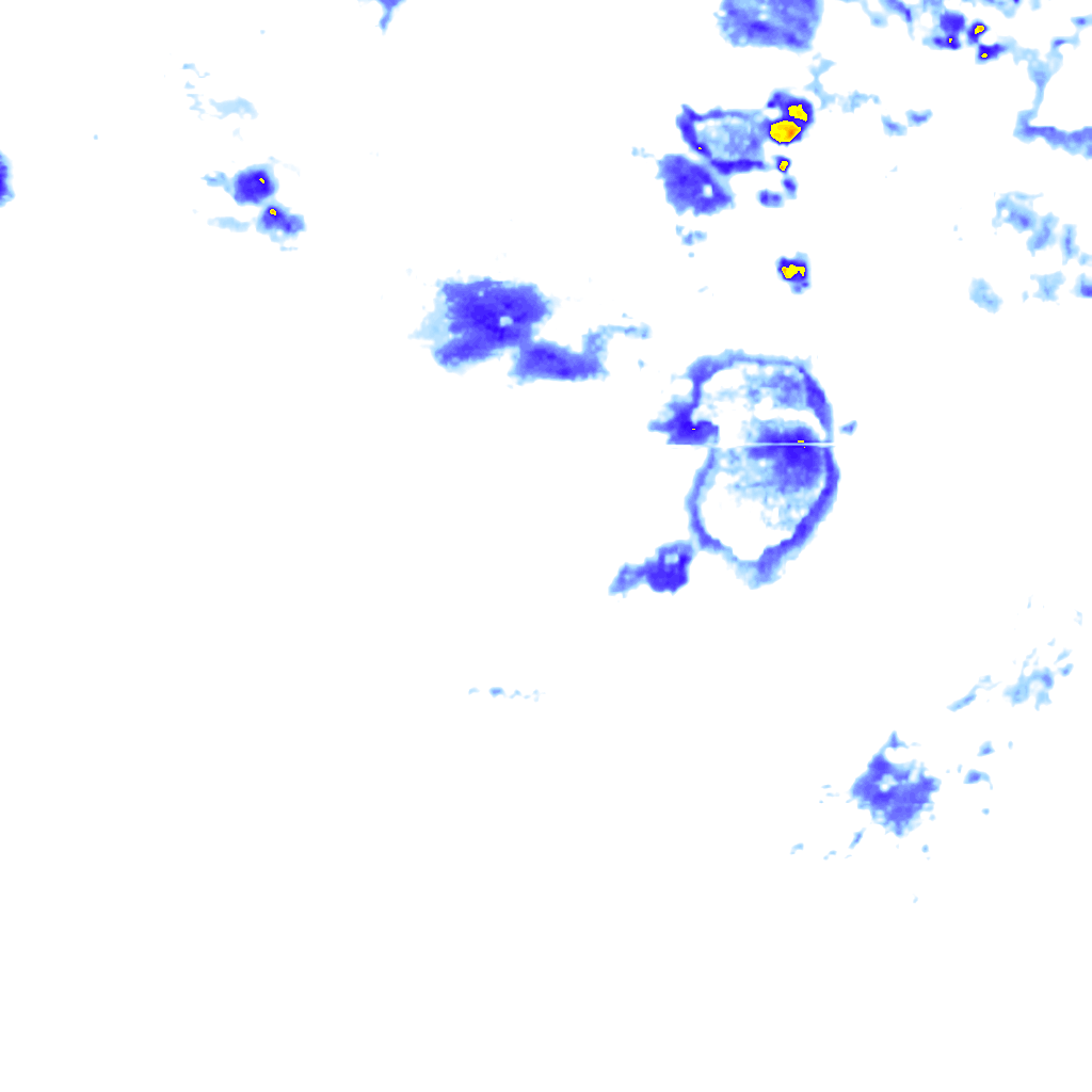 rainLayer