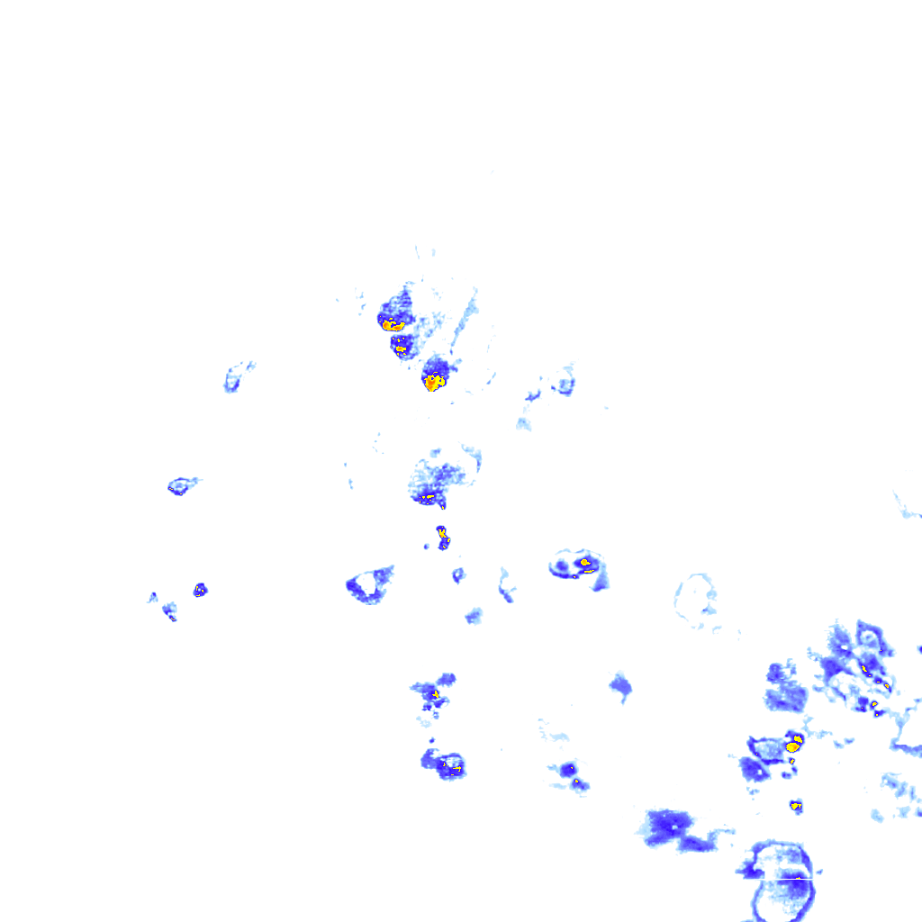 rainLayer