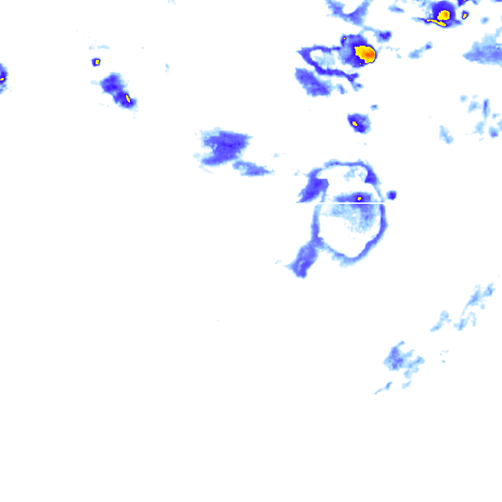 rainLayer