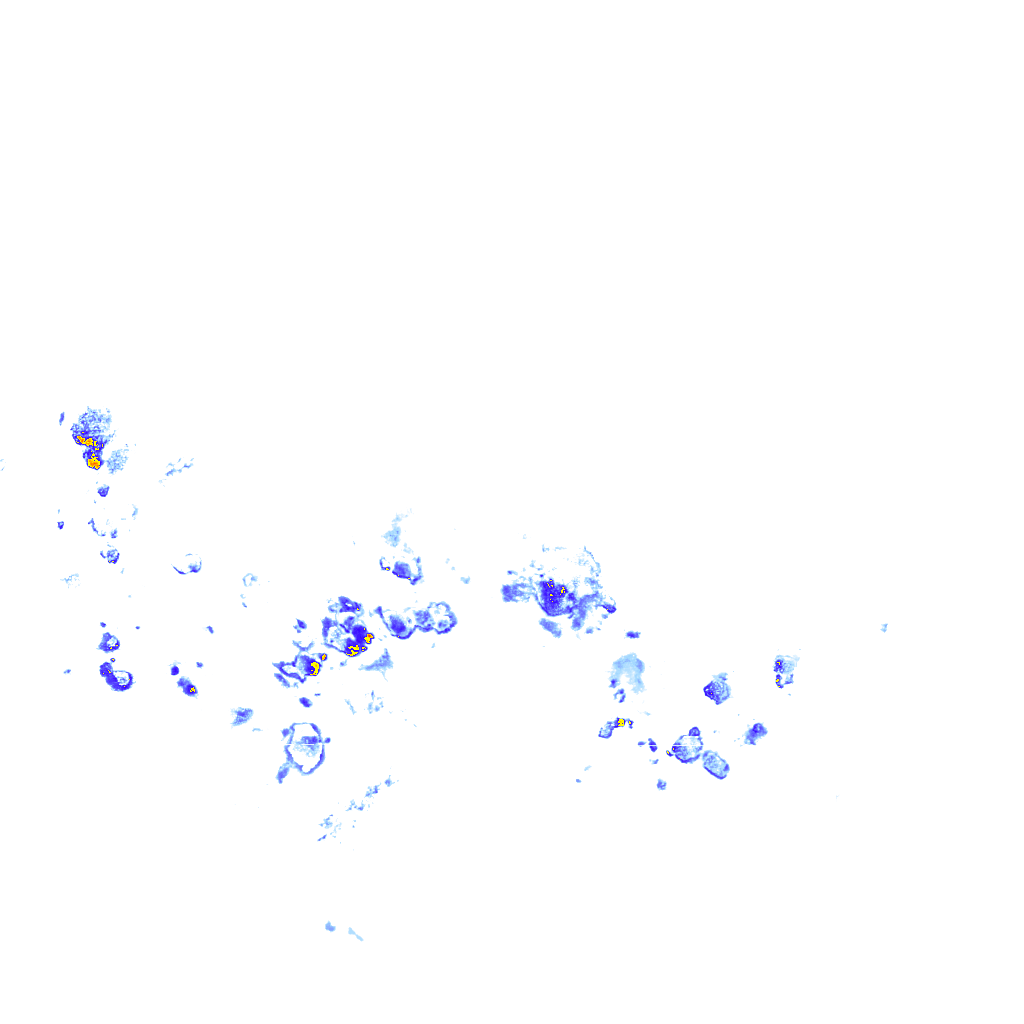 rainLayer