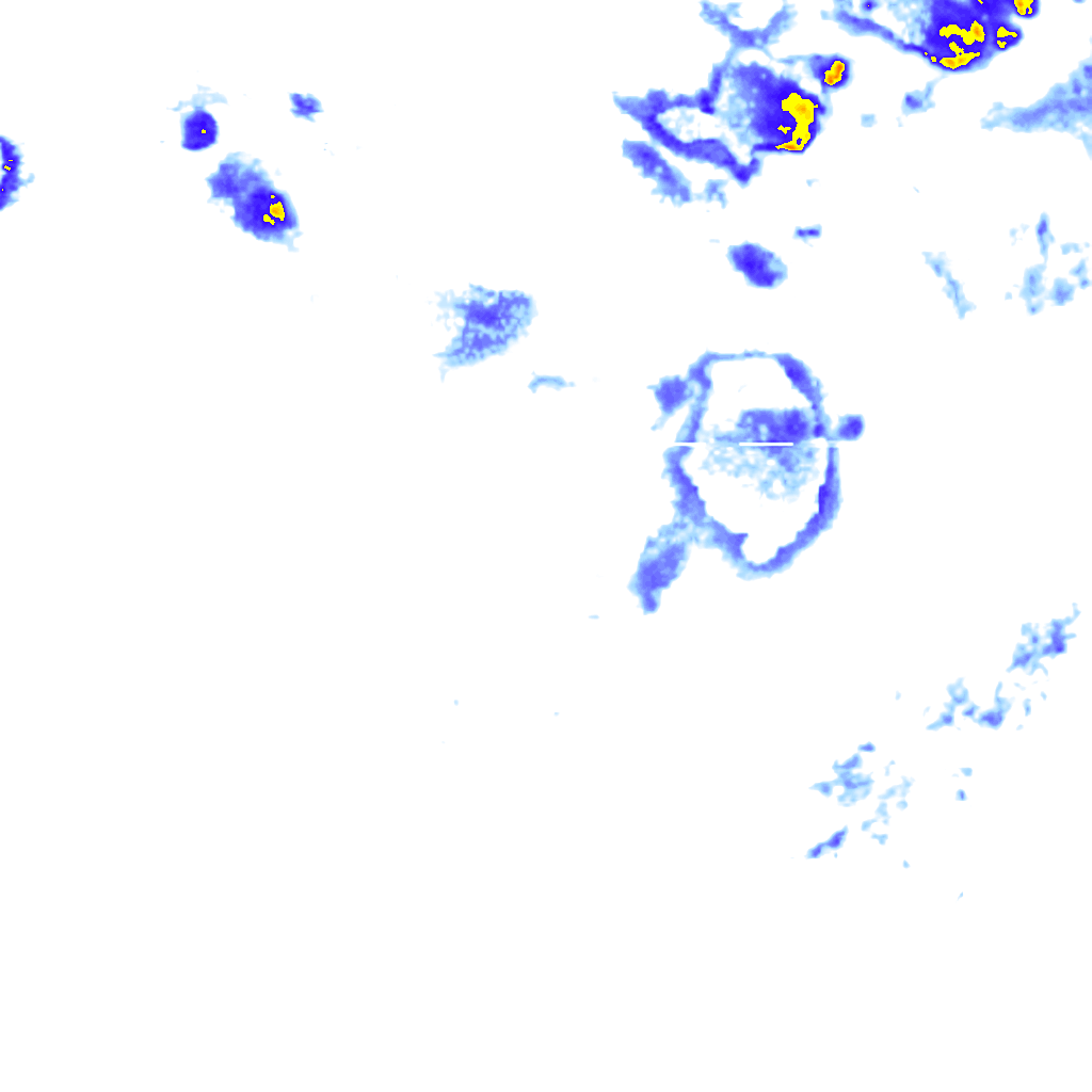 rainLayer