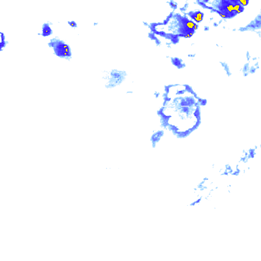 rainLayer
