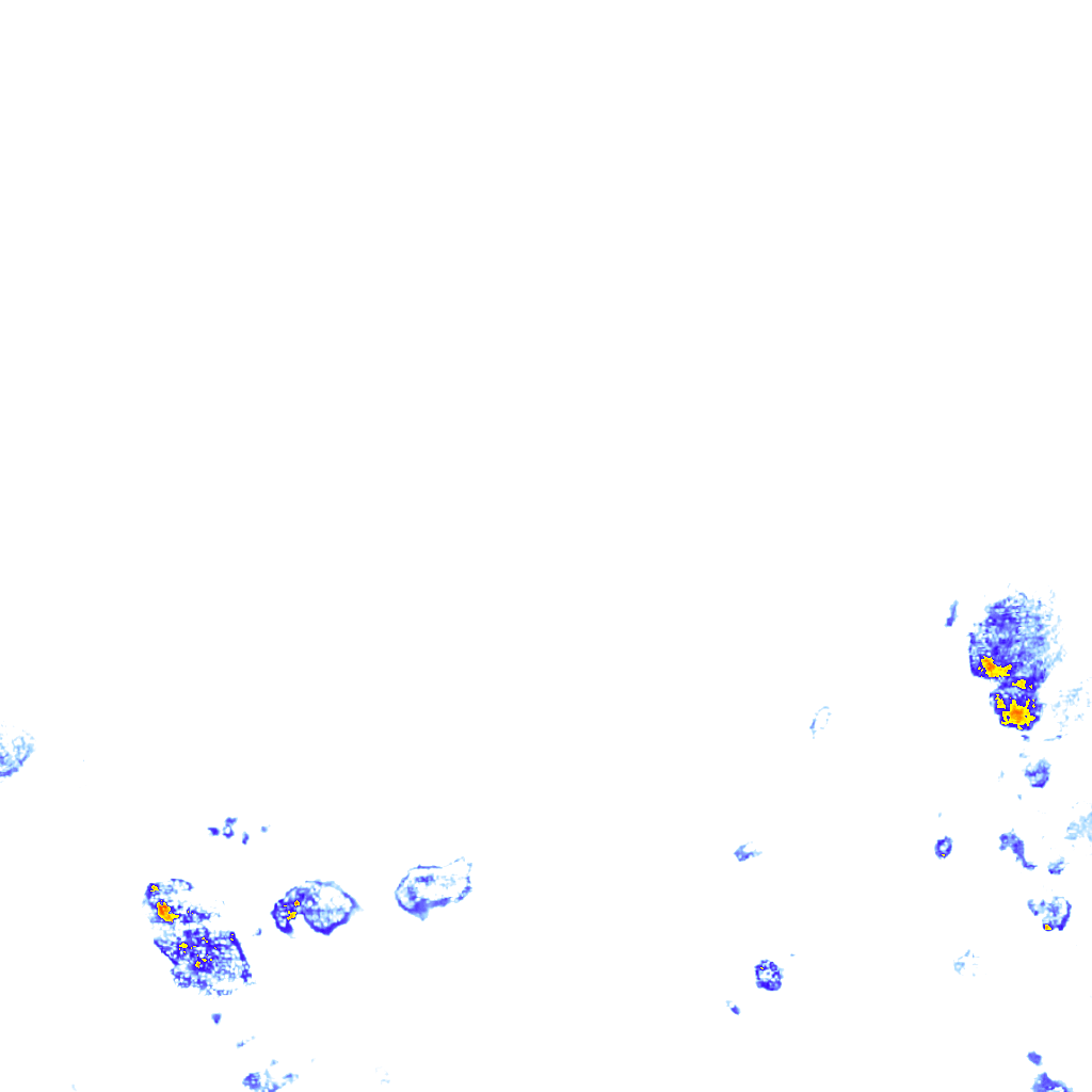 rainLayer