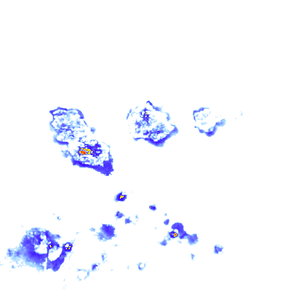 rainLayer