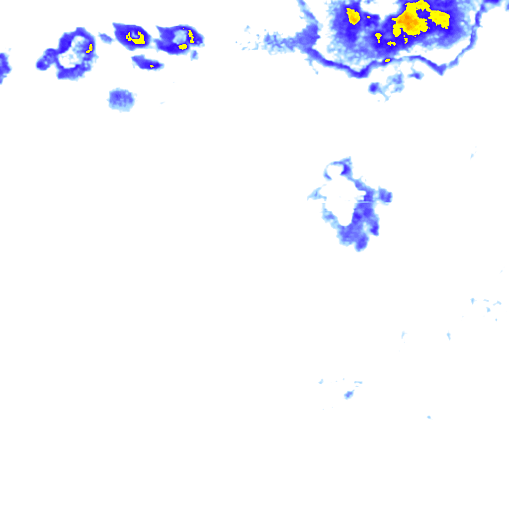 rainLayer