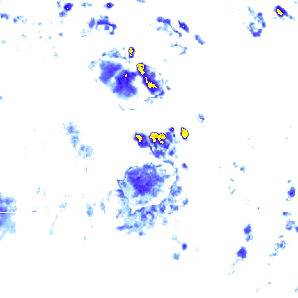 Image Layer