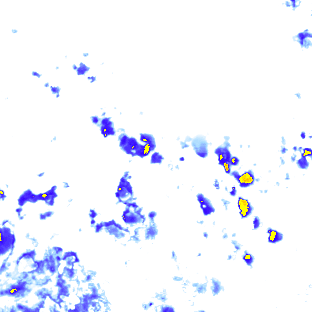 rainLayer