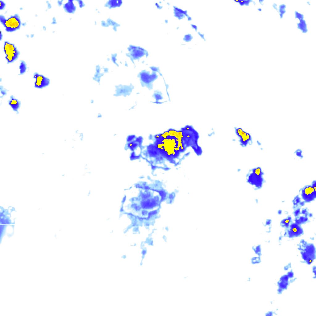 rainLayer