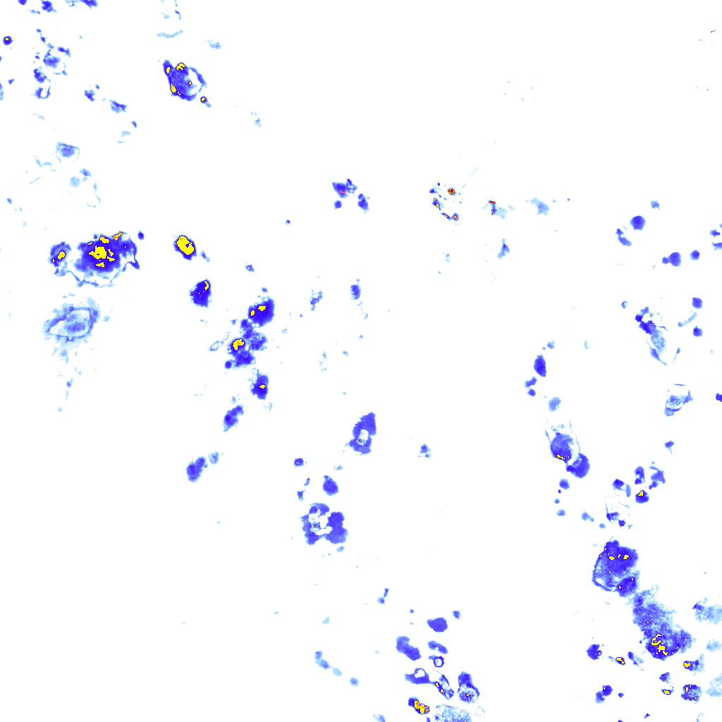 rainLayer