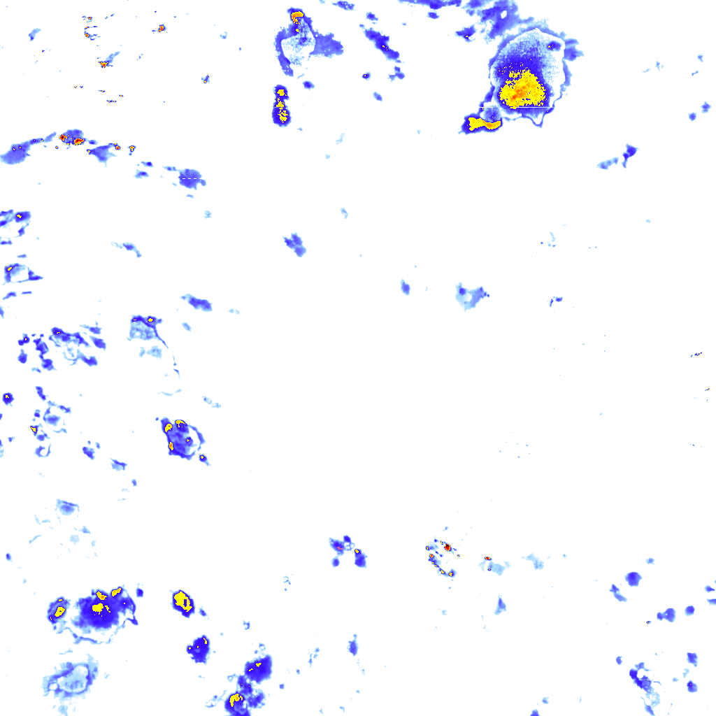 rainLayer