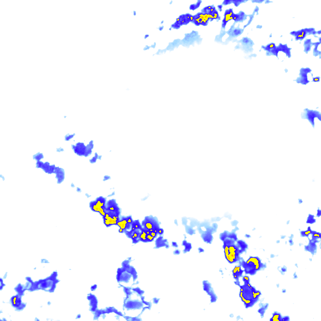 rainLayer