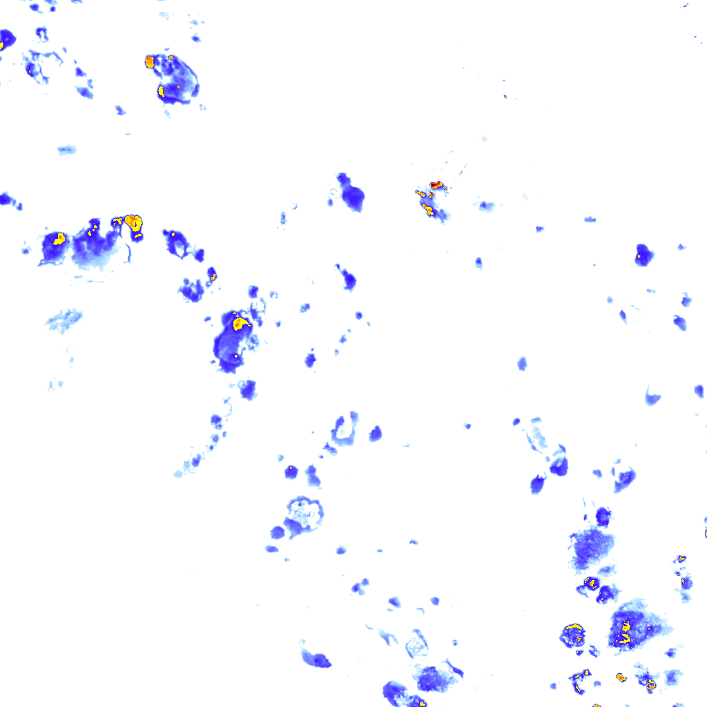 rainLayer