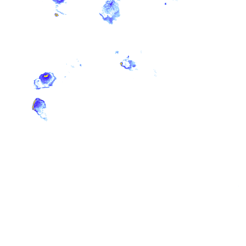 rainLayer