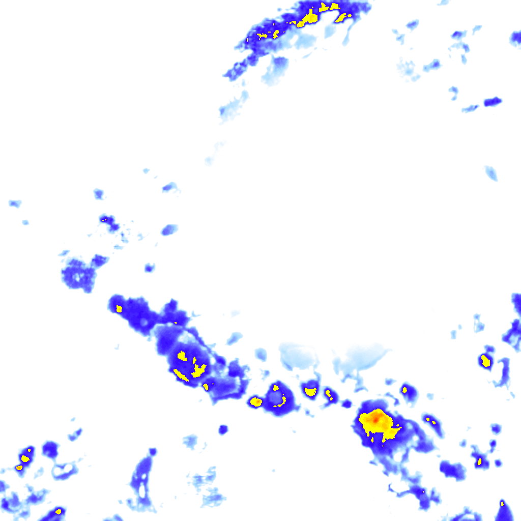 rainLayer
