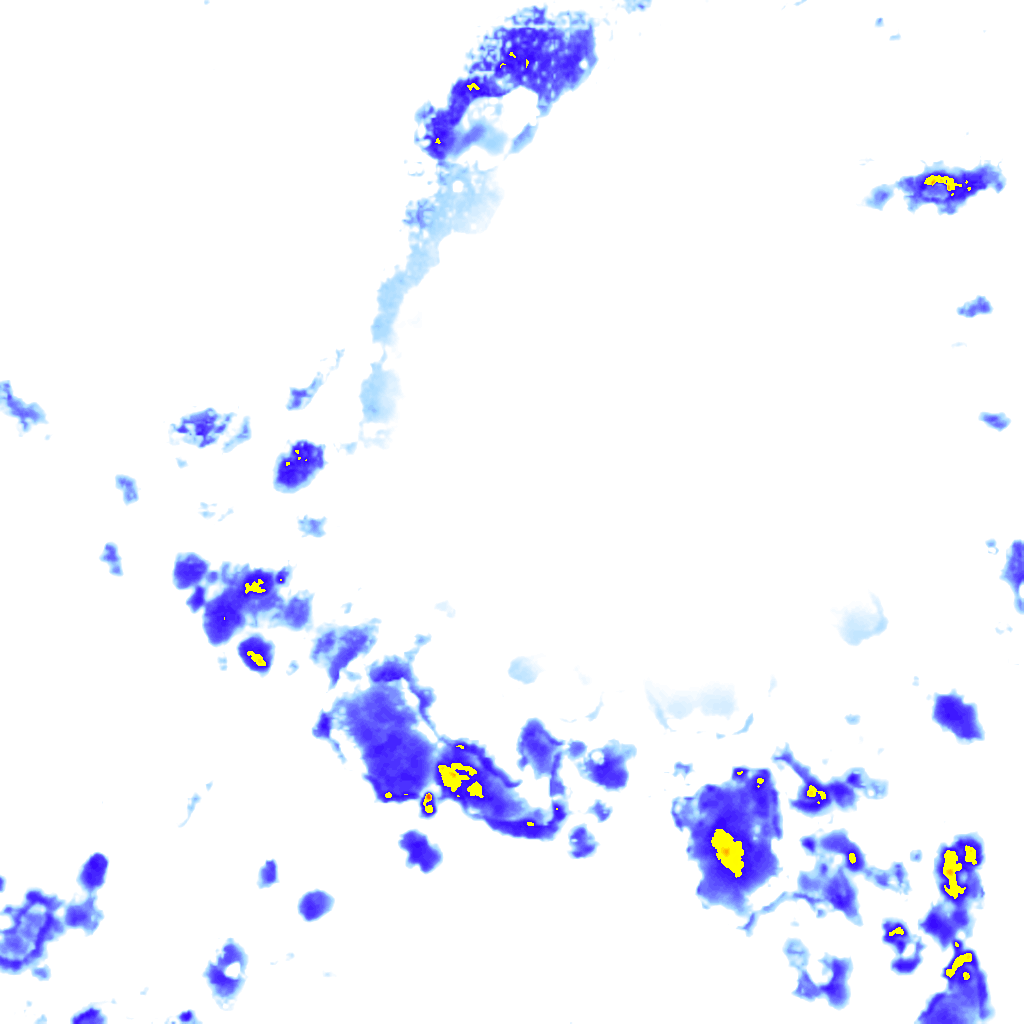 rainLayer