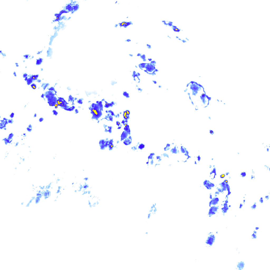 rainLayer