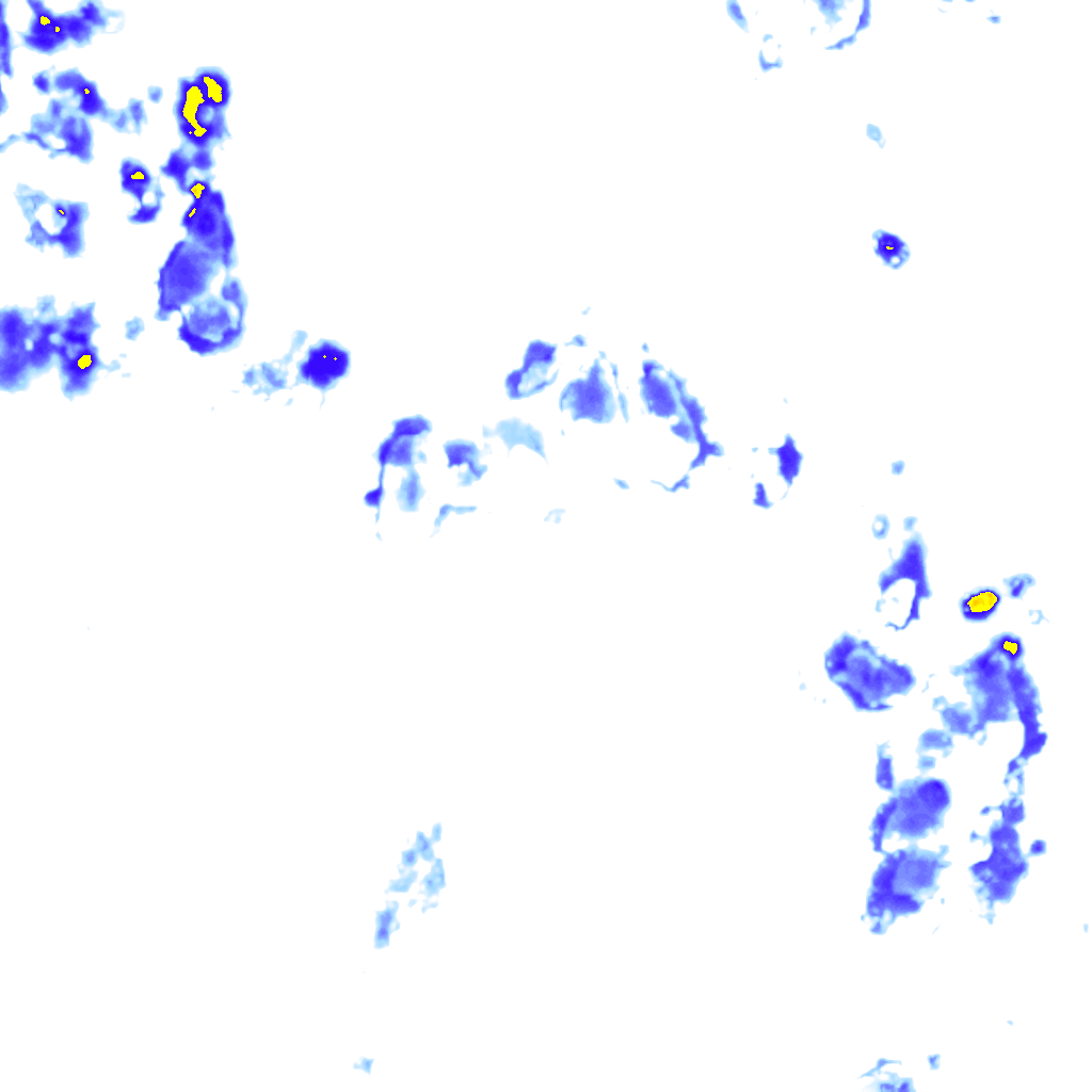 rainLayer