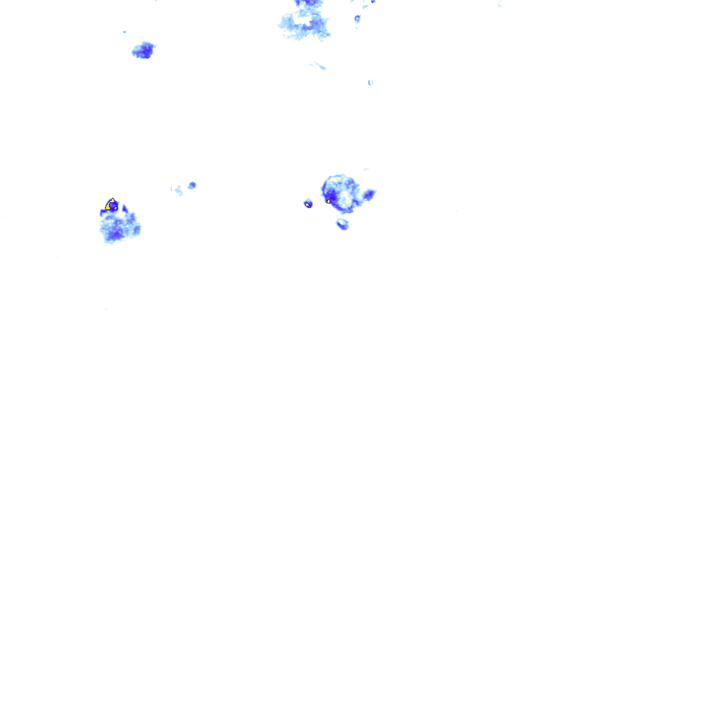rainLayer