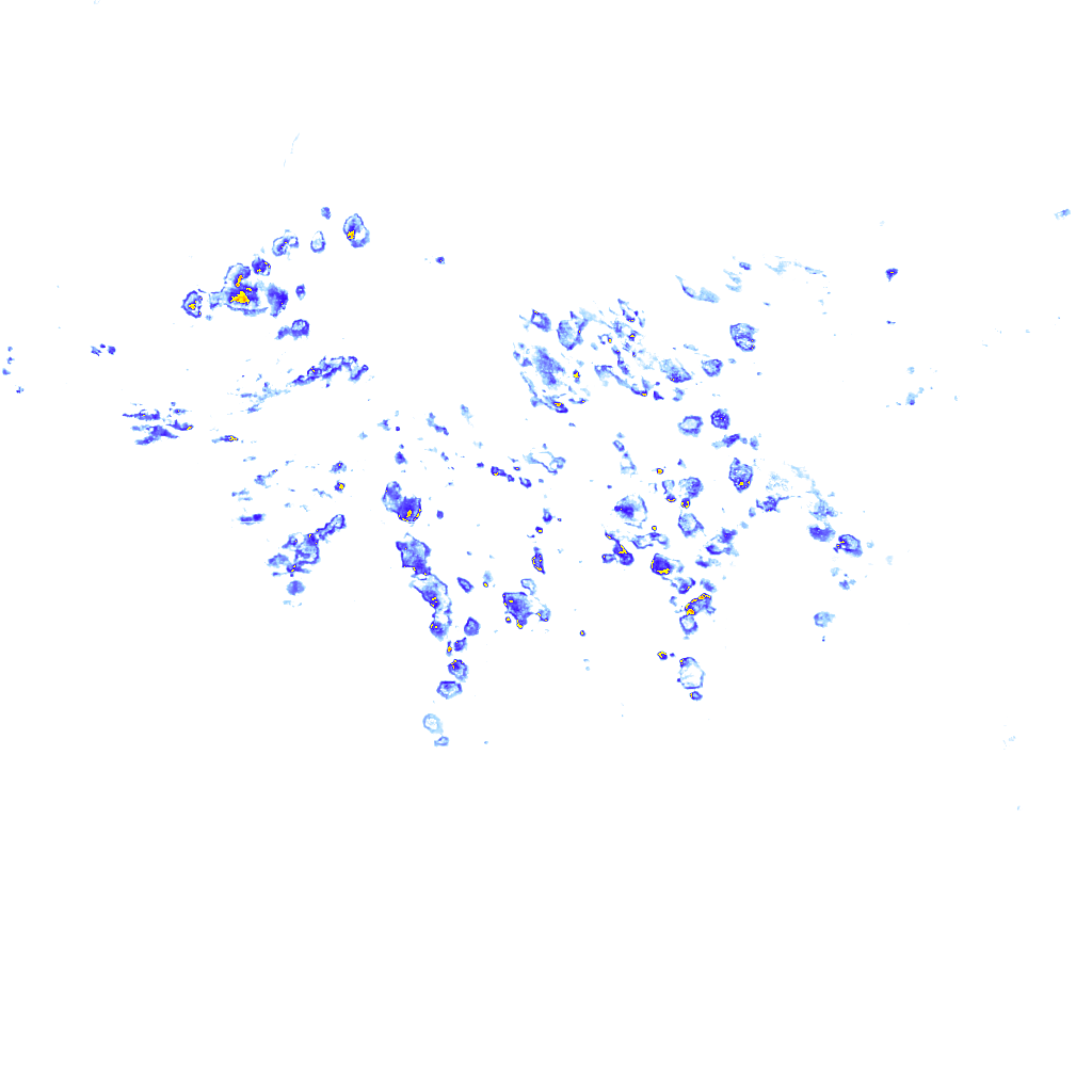 rainLayer