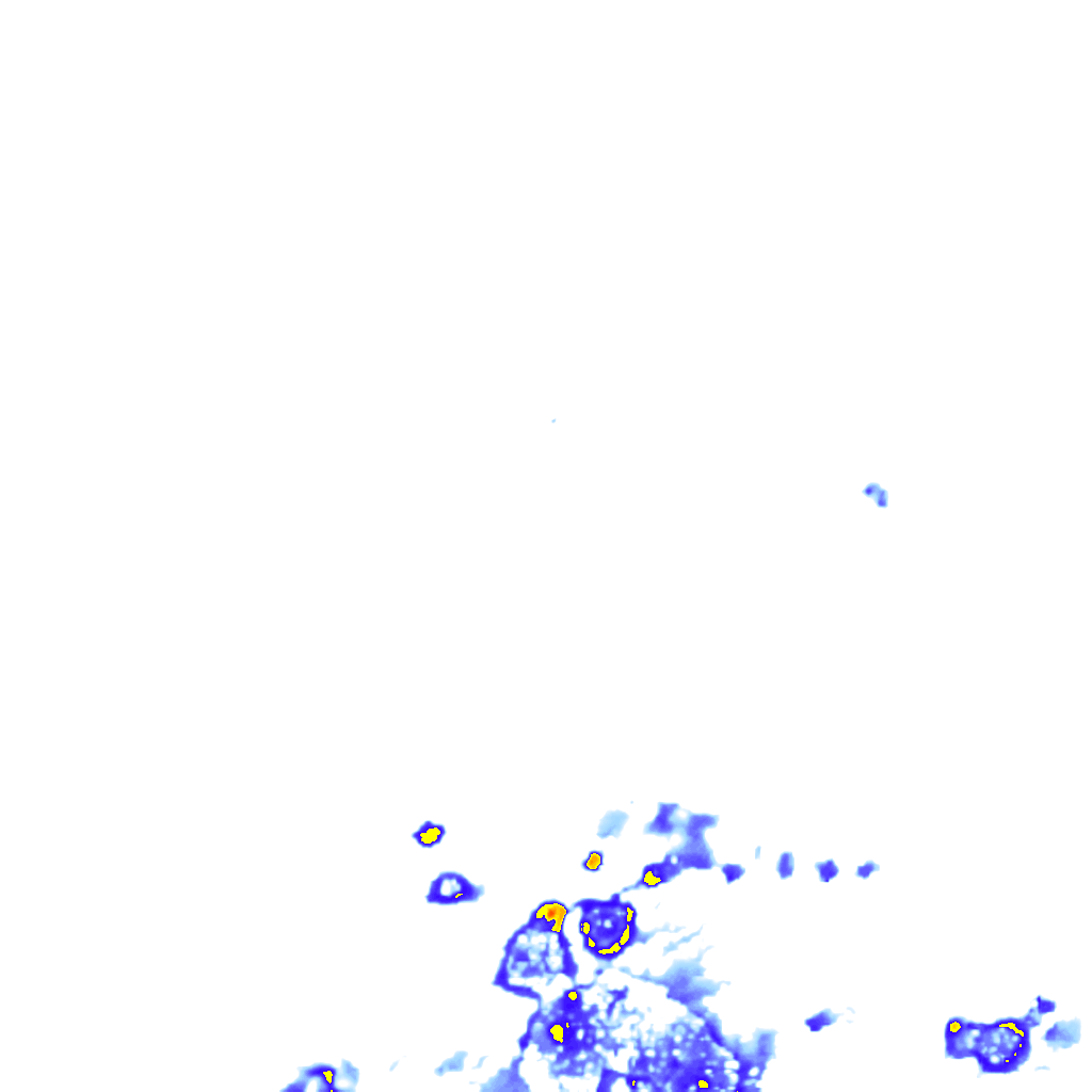 rainLayer