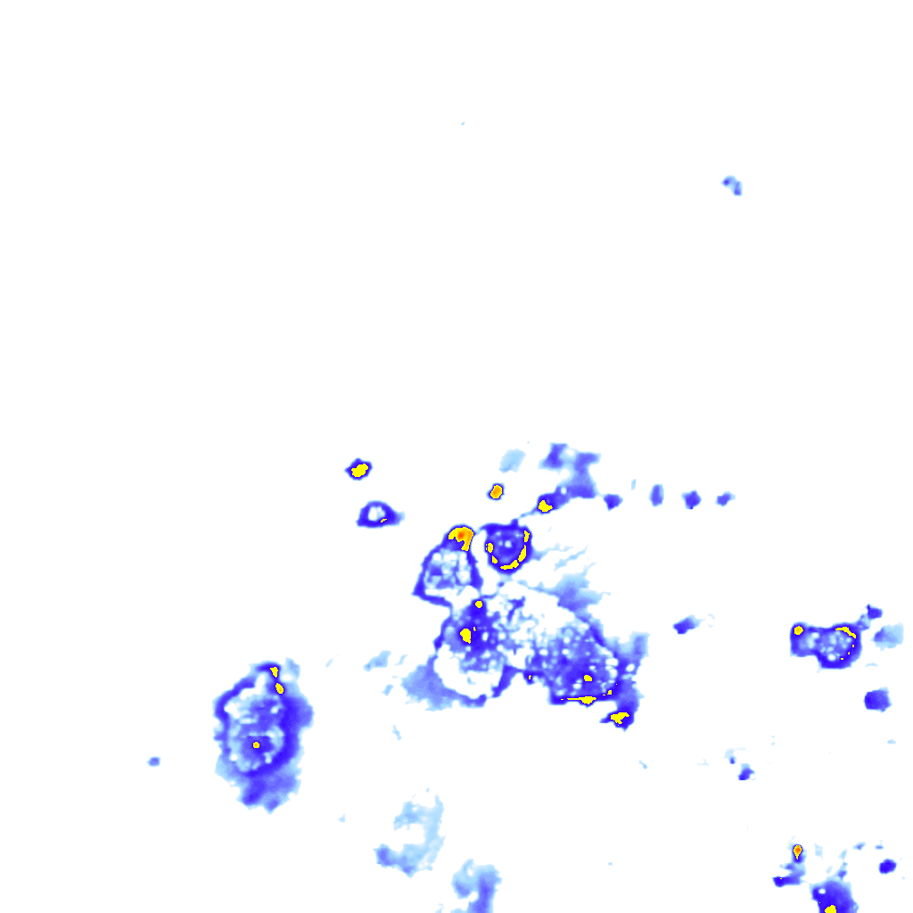 rainLayer