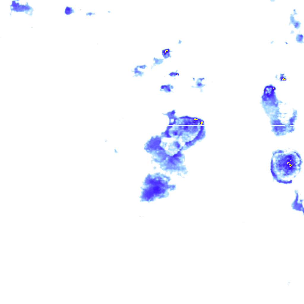 rainLayer