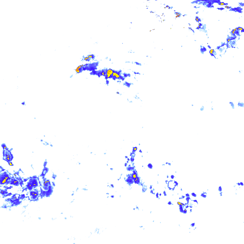 rainLayer