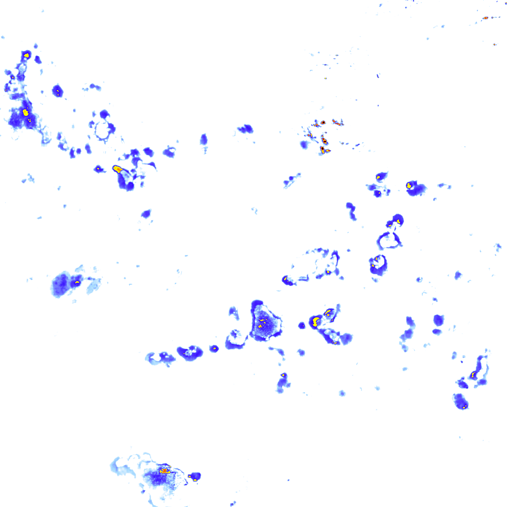 rainLayer