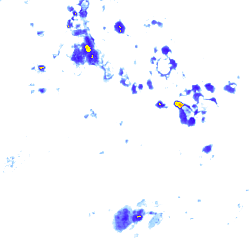 Image Layer