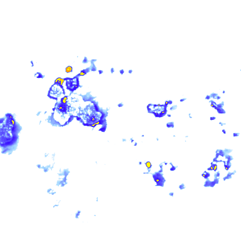 Image Layer