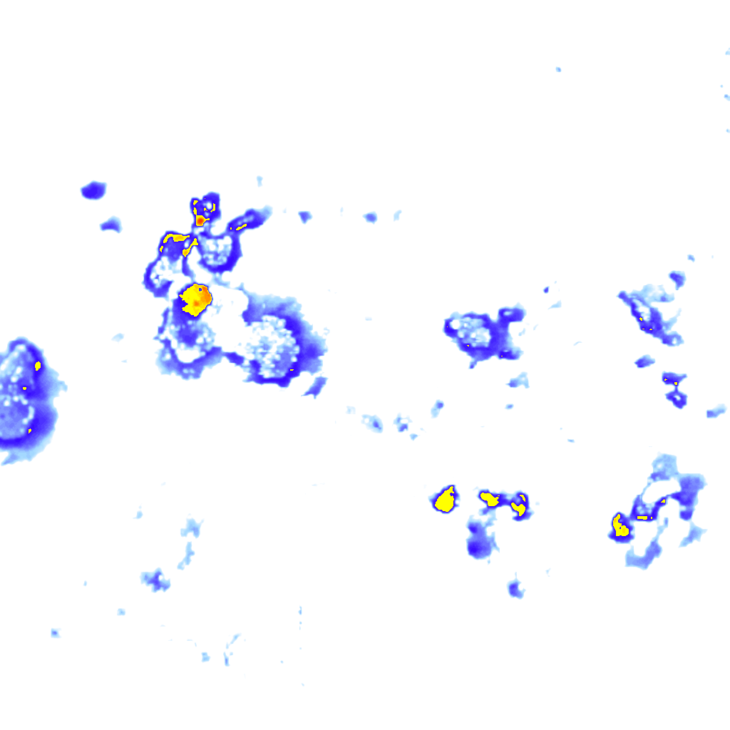 Image Layer